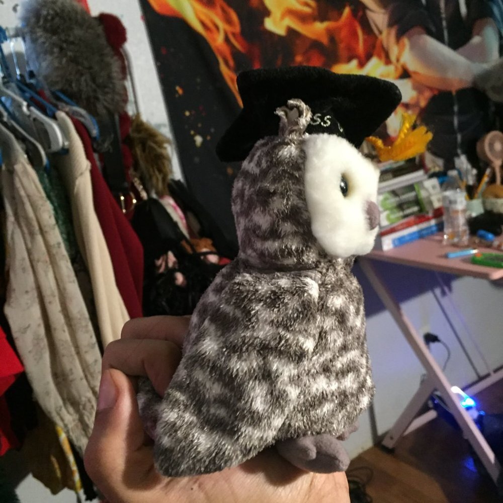 Graduating Owl Plush - Picture 4 of 14
